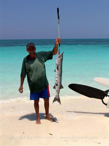 2004 Cuba, Cayo Levisa, DSC00661 B_B720